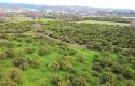 SEFERİHİSAR ULAMIŞ OVA TARAFINDA 18.740 m2 MANDALİN BAHÇESİ