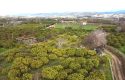 SEFERİHİSAR ULAMIŞ OVA TARAFINDA 18.740 m2 MANDALİN BAHÇESİ