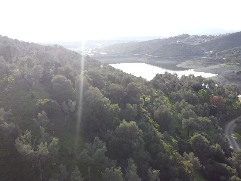 SEFERİHİSAR ULAMIŞTA BARAJ MANZ. KADASTROL YOL CEPHELİ ZEYTİNLİK