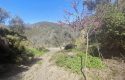 ULAMIŞTA KADASTROL YOL CEPHELİ DOĞA MANZARALI 5.500 m2 ZEYTİNLİK
