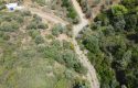 ULAMIŞTA KADASTROL YOL CEPHELİ DOĞA MANZARALI 5.500 m2 ZEYTİNLİK