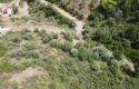 ULAMIŞTA KADASTROL YOL CEPHELİ DOĞA MANZARALI 5.500 m2 ZEYTİNLİK