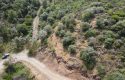 ULAMIŞTA KADASTROL YOL CEPHELİ DOĞA MANZARALI 5.500 m2 ZEYTİNLİK