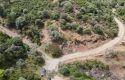 ULAMIŞTA KADASTROL YOL CEPHELİ DOĞA MANZARALI 5.500 m2 ZEYTİNLİK