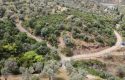 ULAMIŞTA KADASTROL YOL CEPHELİ DOĞA MANZARALI 5.500 m2 ZEYTİNLİK
