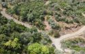 ULAMIŞTA KADASTROL YOL CEPHELİ DOĞA MANZARALI 5.500 m2 ZEYTİNLİK