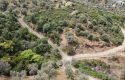 ULAMIŞTA KADASTROL YOL CEPHELİ DOĞA MANZARALI 5.500 m2 ZEYTİNLİK