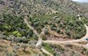 ULAMIŞTA KADASTROL YOL CEPHELİ DOĞA MANZARALI 5.500 m2 ZEYTİNLİK