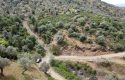 ULAMIŞTA KADASTROL YOL CEPHELİ DOĞA MANZARALI 5.500 m2 ZEYTİNLİK