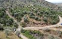 ULAMIŞTA KADASTROL YOL CEPHELİ DOĞA MANZARALI 5.500 m2 ZEYTİNLİK