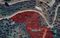 ULAMIŞTA KADASTROL YOL CEPHELİ DOĞA MANZARALI 5.500 m2 ZEYTİNLİK