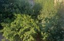EN ÇOK TERCİH EDİLEN BÖLGEDE DOĞA MANZARALI 3+1 ARA KAT DAİRE